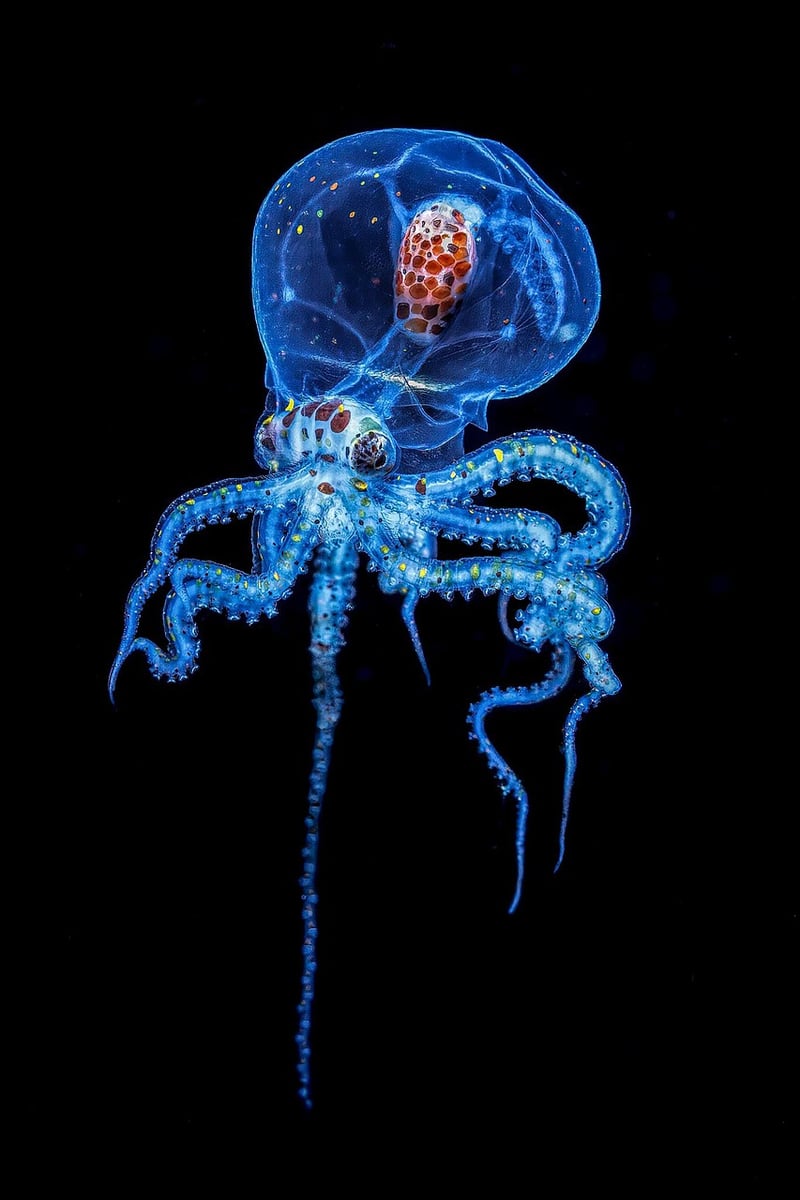Bioluminescent Artwork